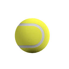 AC23 - Tennis Balls (4)